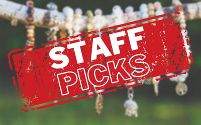 Staff Picks - Discover Our Team's Favorites!