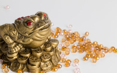 The Money Frog: What You Need to Know About This Three-Legged Toad