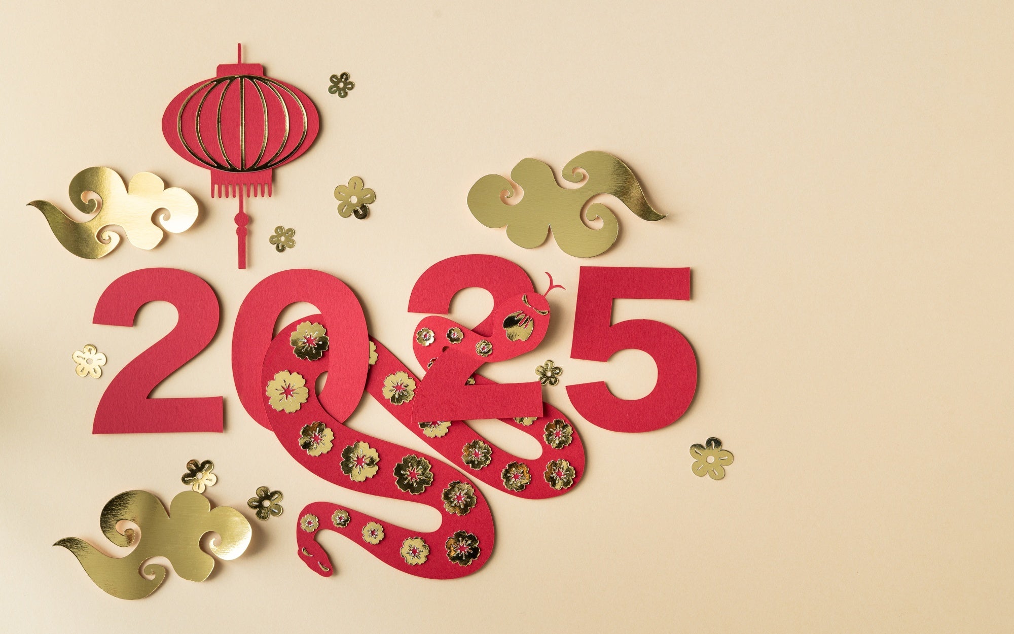 Year of the Snake 2025 Predictions for Each Zodiac Sign Buddha & Karma