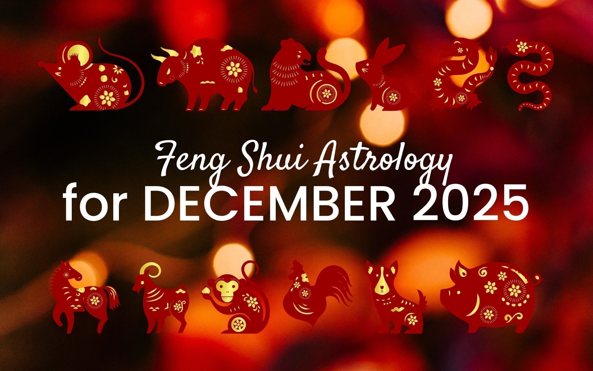 December Chinese Zodiac 2025 Horoscope: What You Need to Know