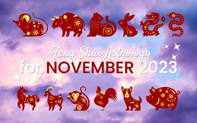 Oroscopo di novembre 2023: cosa c'è in serbo per ogni zodiaco?