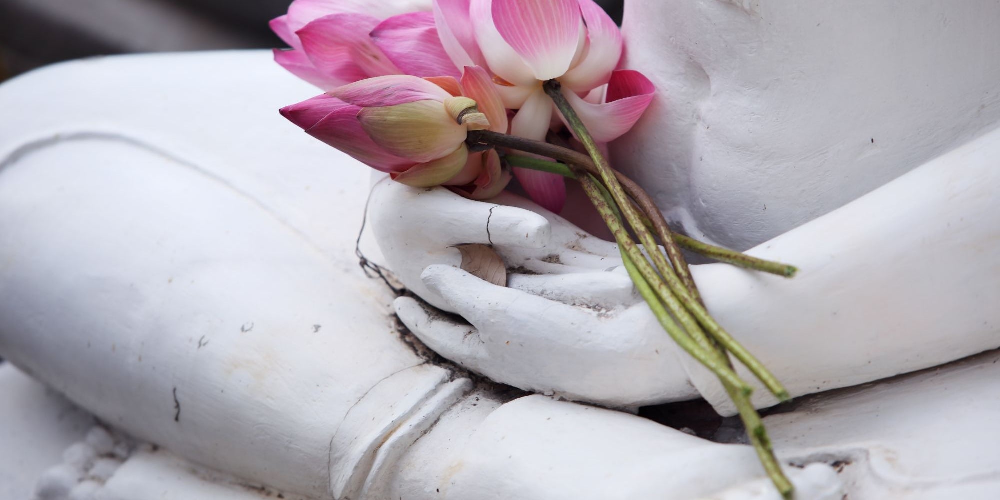 buddha lotus flower meaning