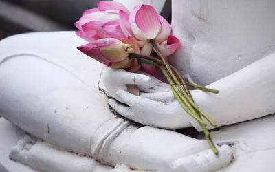 Significato del fiore di loto nel buddismo: un simbolo di illuminazione