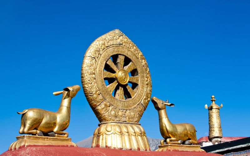 What is the Dharma Wheel? Meaning and Significance in Buddhism