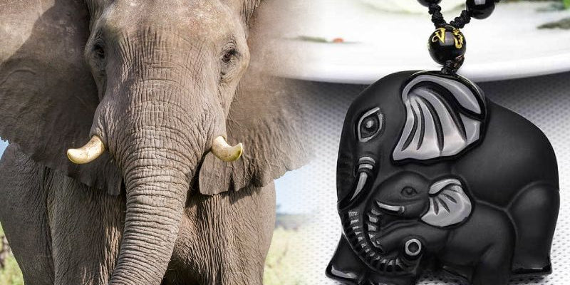 elephant symbol meaning