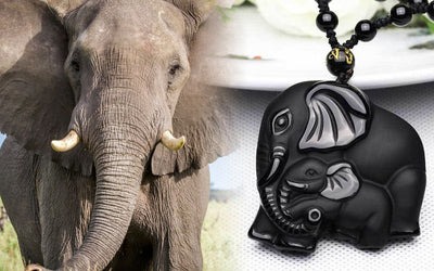 Simbolo dell'elefante nei gioielli: qual è il significato dell'elefante?