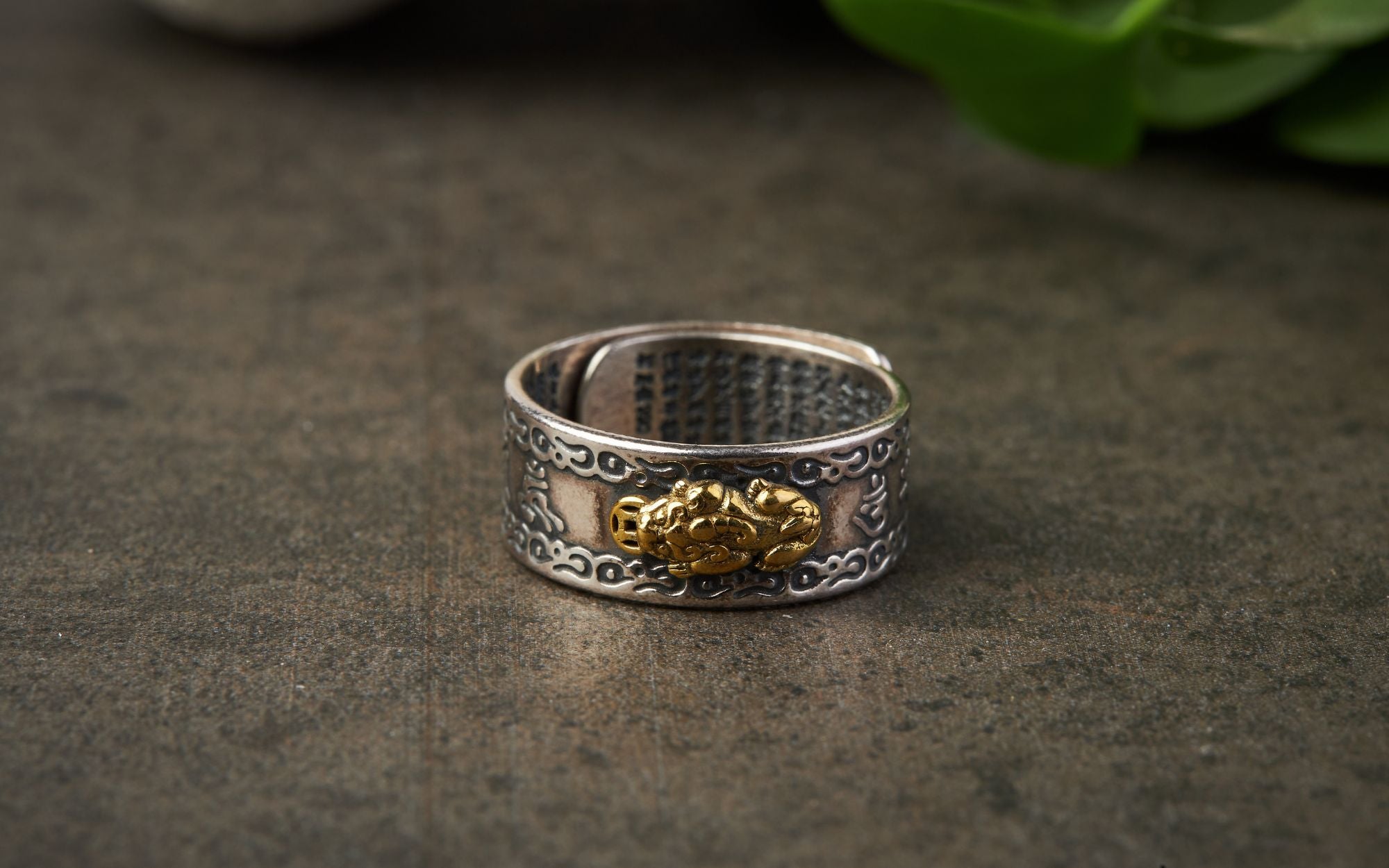Feng Shui Ring: Meaning, Benefits, How to Wear, and Rules – Buddha & Karma