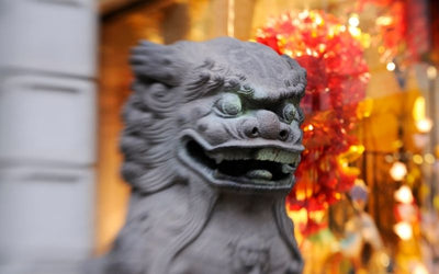 The Foo Dog: Meaning in Feng Shui and How to Use It for Protection
