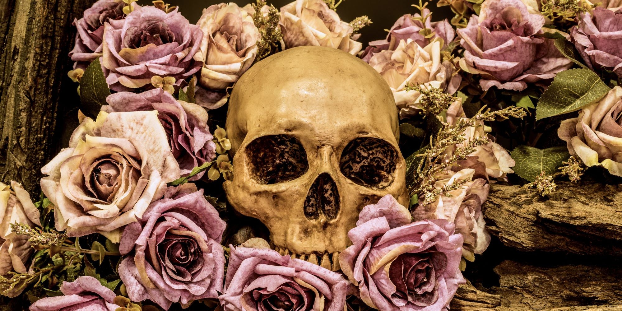 what do skulls represent