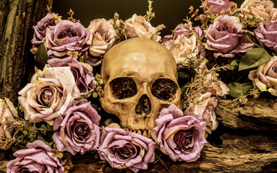 What Do Skulls Represent? Exploring Skull Symbolism Across Cultures