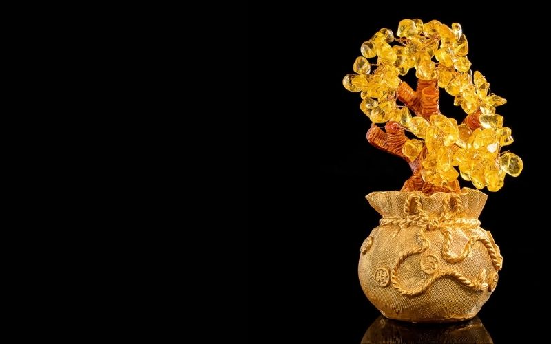 what to look for in a real citrine money tree