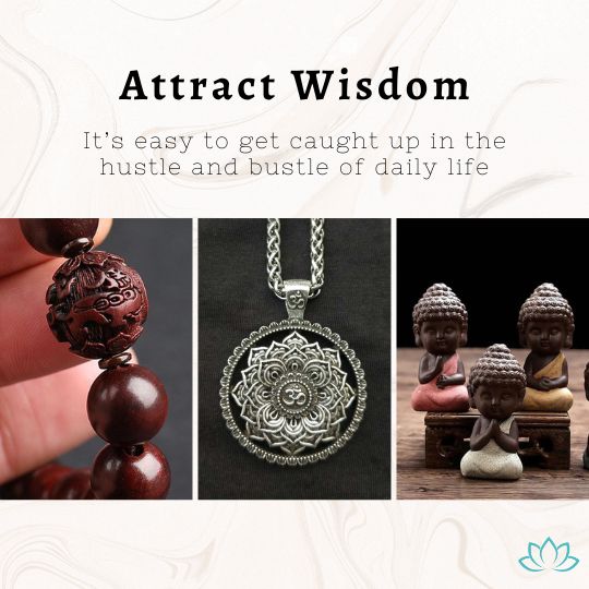 Attract Wisdom