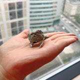 Exclusive: Buddha & Karma Pyrite Turtle Wealth Ornament