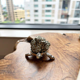 Exclusive: Buddha & Karma Pyrite Turtle Wealth Ornament