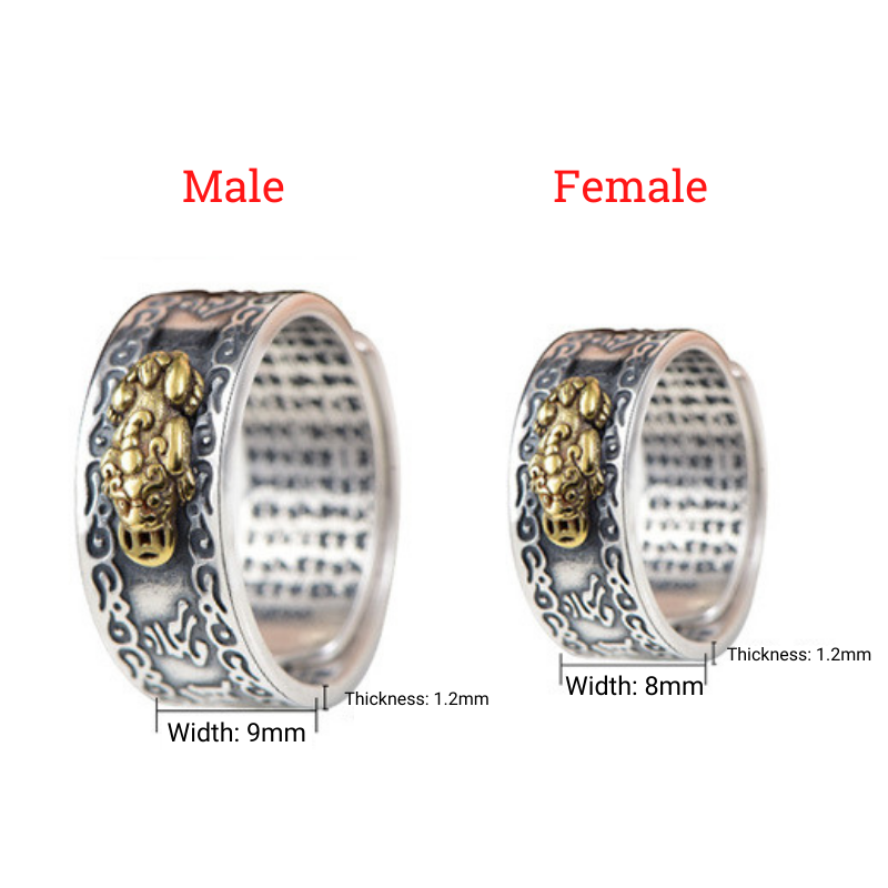 Feng Shui Pixiu Mantra Ring - Wealth & Protection - Buddha & Karma